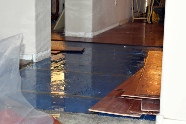 Professional Basement Flood Cleanup technician working in Paden City, WV